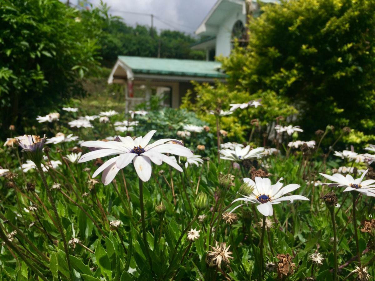 Highest Village Bungalow 누와라 엘리야 외부 사진